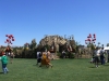 The Do Lab