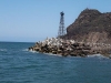 imagen-100.jpg