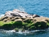 imagen-132.jpg