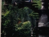 Arquitectura fantastica y selvatica en las pozas de Xilitla