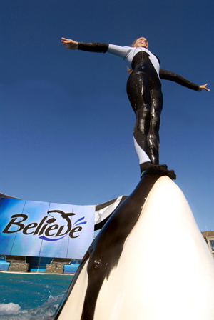 1shamu-believe