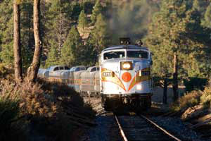 train train